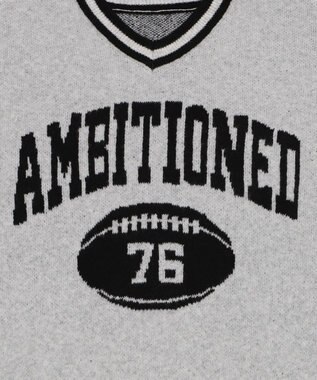 WEGO 【25年秋冬新作】フラッフィーVネックニットBIGプルオーバー アッシュグレー