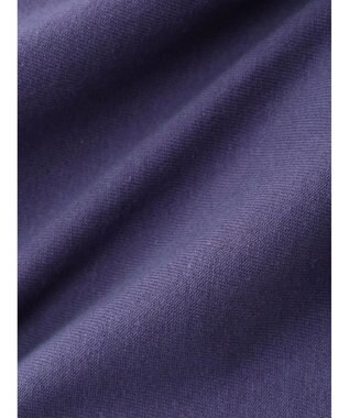 AMERICAN HOLIC Ｂ．Ｈ　ＰＯＬＯ　ＣＬＵＢ　バックプリントＴＥＥ Purple