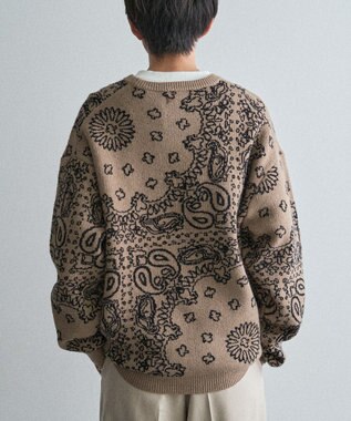 CRAFT STANDARD BOUTIQUE ペイズリー柄ニットプルオーバー Gray Beige