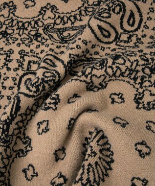 CRAFT STANDARD BOUTIQUE ペイズリー柄ニットプルオーバー Gray Beige