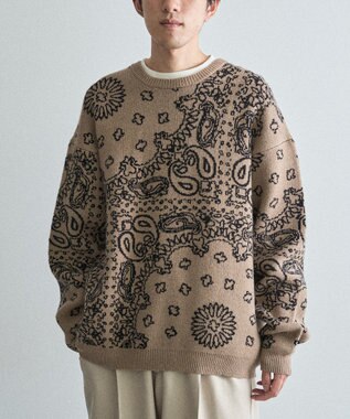 CRAFT STANDARD BOUTIQUE ペイズリー柄ニットプルオーバー Gray Beige