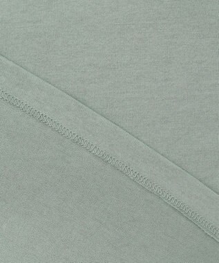 J.PRESS LADIES バック フォト Tシャツ ライトグリーン系