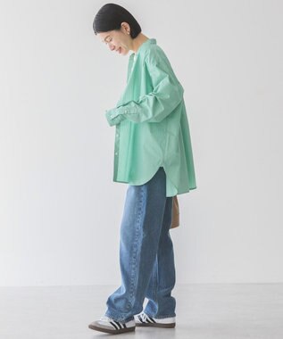 AMERICAN HOLIC イージーケアブロードシャツ Stripe Green