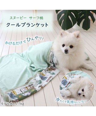 PET PARADISE スヌーピー サーフ柄  クールブランケット (90×60cm) カーキ