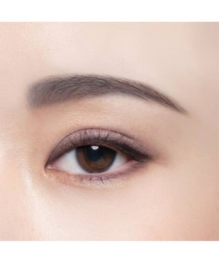 Chacott Cosmetics フェイスカラーパレット【509】アンティークドール ー