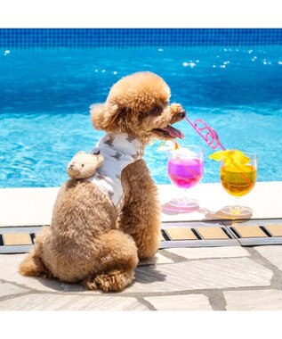 PET PARADISE ペットパラダイス くまちゃん クールベスト 小型犬 ホワイト×ブラウン