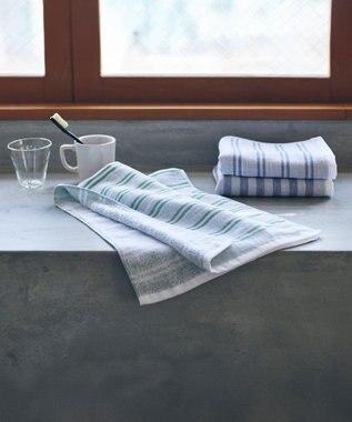 SHINTO TOWEL シマ フェイスタオル ダブル白地 フォレスト