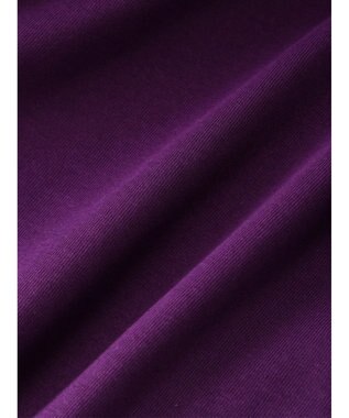 Green Parks 汗染み防止プチハイネックプルオーバー Purple