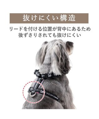 PET PARADISE Lee ロゴアクティブ ハーネス ＳＳ ブラック