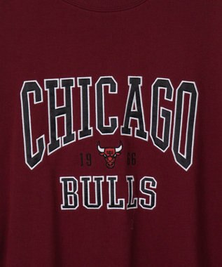 WEGO 別注NBA2ラインBIGPO レッド