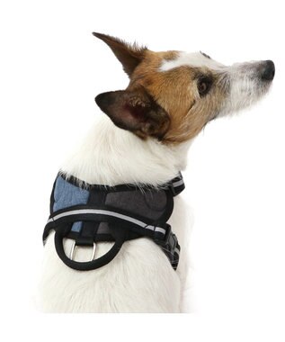 PET PARADISE ヘッドインハーネス 【ＳＳ】 オレンジ / ブルー 【小型犬】 ブルー×ブラウン