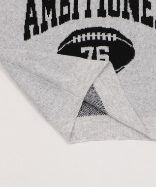 WEGO 【25年秋冬新作】フラッフィーVネックニットBIGプルオーバー アッシュグレー