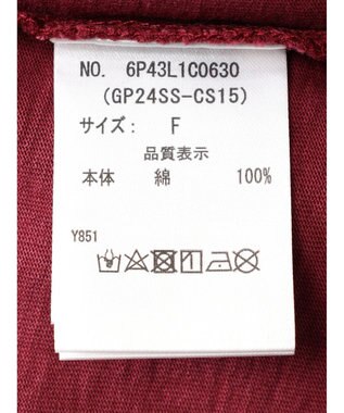 Green Parks ・Ｄｏｕｂｌｅ　Ｆｌａｇｓ　ピグメント加工ノースリＴＥＥ Bordeaux