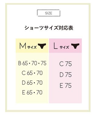 AMPHI ブラジャー ショーツセット まる胸メイク WEB限定カラーあり 【ブラショーツセット】 上下セット ブラ BCC224 アンフィ／ワコール パープル