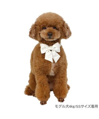 PET PARADISE ペットパラダイス 花柄りぼん 首輪 ３Ｓ 小型犬 オフホワイト