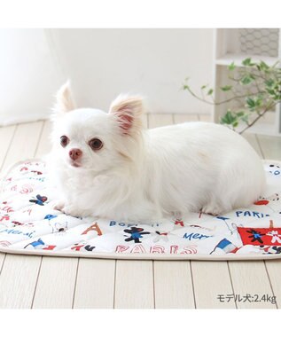 PET PARADISE リサとガスパール クール マット 《パリ柄》 小型犬 48×40㎝ パリ柄