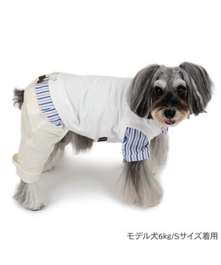 PET PARADISE ペットパラダイス ベスト パンツつなぎ 《ホワイト》 小型犬 ホワイト×ホワイト