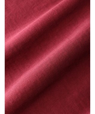 Green Parks ・Ｄｏｕｂｌｅ　Ｆｌａｇｓ　ピグメント加工ノースリＴＥＥ Bordeaux