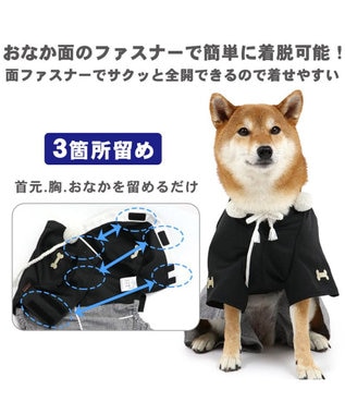 ☆rara ご確認用 トイプードル ブラウン お正月わんこ 羽織袴