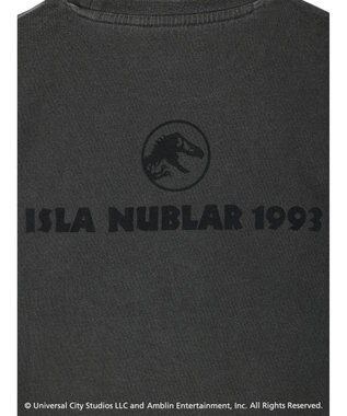 Green Parks ■ＪＵＲＡＳＳＩＣ　ＰＡＲＫ　コラージュｐｃＴ Black