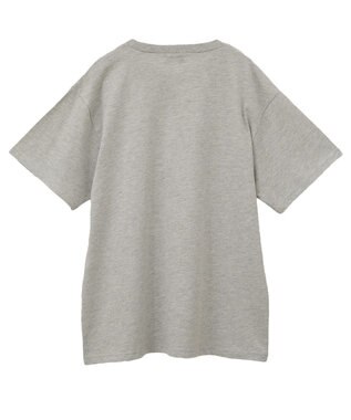 Green Parks ・ＤＯＵＢＬＥ　ＦＬＡＧＳ　フォトプリントＴＥＥ Gray Mixture