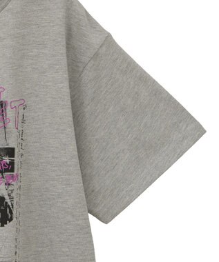 Green Parks ・ＤＯＵＢＬＥ　ＦＬＡＧＳ　フォトプリントＴＥＥ Gray Mixture