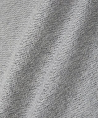 Green Parks ・ＤＯＵＢＬＥ　ＦＬＡＧＳ　フォトプリントＴＥＥ Gray Mixture