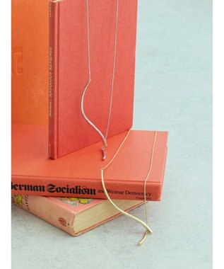 AMERICAN HOLIC ハーフラインスライドネックレス Gold