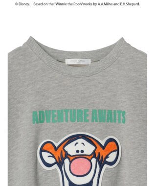 Green Parks Ｗｉｎｎｉｅ　ｔｈｅ　Ｐｏｏｈ／ノースリーブベストⅡ Gray Mixture