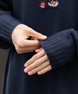 WEGO 【ユニセックス着用ITEM/MLサイズ展開】ジャガードアニマルプルオーバー ネイビー