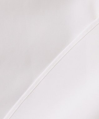 GOTAIRIKU 【形態安定】PREMIUMPLEATS_レギュラーカラー 通年ドレスシャツ ホワイト系