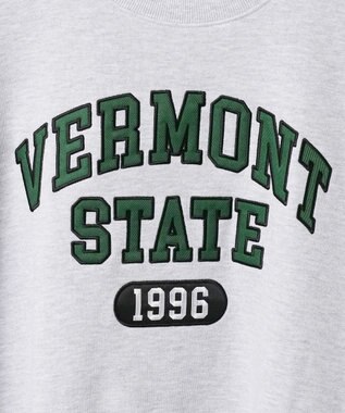 WEGO ヘビーウエイト刺繍グラフィックプルオーバー グレー