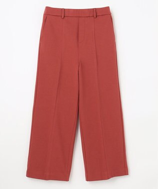 ANY 【吸湿発熱】any HEAT ワイドパンツ テラコッタ