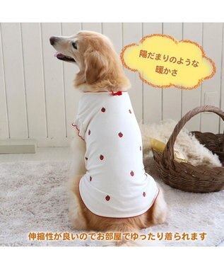 犬 服 タンクトップ 【中型犬】【大型犬】 プレミアム ペティヒート 苺, 白~オフホワイト, Ｍ