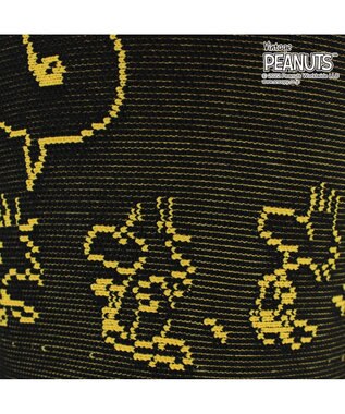 ROOTOTE 8242【スヌーピー：インテリアトート】/ IP.ポーノ.ベビールー.ピーナッツ-6T 02：ウッドストック