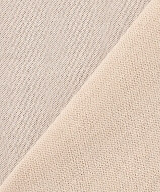 J.PRESS LADIES L 【洗える・抗菌防臭】LUREX ラメ ニットT ベージュ系