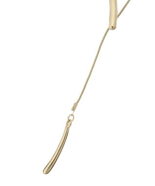 AMERICAN HOLIC ハーフラインスライドネックレス Gold