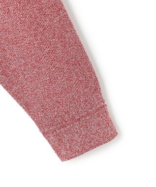 J.PRESS MEN 【KING SIZE】ギマコットンカノコクルーネック ニット レッド系