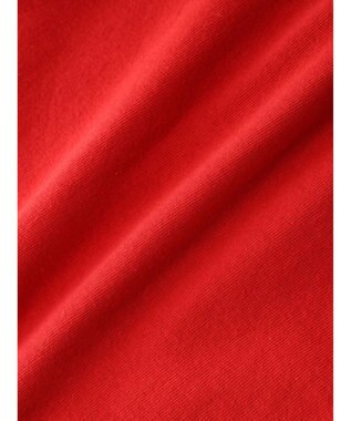 earth music&ecology ｓａｌａｄｅ　ＤＥ　ＣＡＲＯＴＴＥＳ　ｒａｐｅｅｓノースリＴ Red