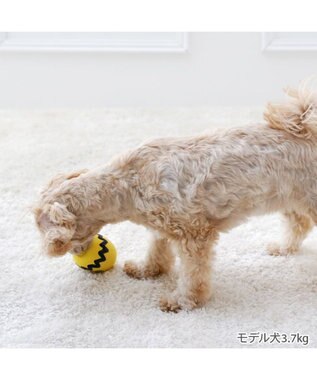 PET PARADISE スヌーピー  50s ラテックス トイ イエロー