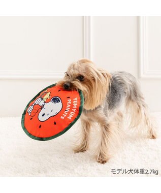 PET PARADISE スヌーピー  スイカ フロートトイ グリーン