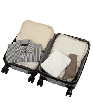 ACE BAGS & LUGGAGE ACE オーバル2 スーツケース 機内持ち込み 拡張機能 36L/43L 05911 エース グレー