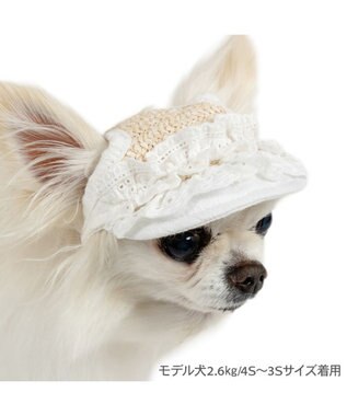 PET PARADISE ペットパラダイス フリル キャップ ４Ｓ～３Ｓ/ＳＳ～Ｓ ホワイト×ベージュ