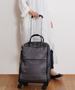 ACE BAGS & LUGGAGE HAyU × ace. ユッカTR カジュアルキャリーケース 33L 17841 エース