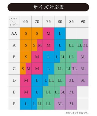 Wing 【2024年HAPPY BAG】 Wing （ブラジャーショーツセット 2セット ノンワイヤーブラ） その他