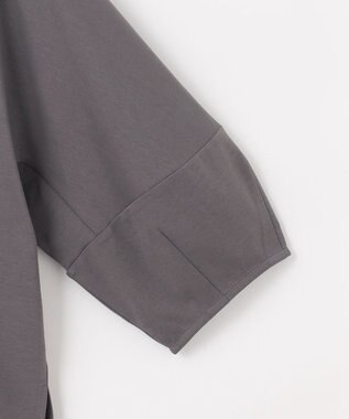 ANY SIS S 【撥水・汗ジミ防止・UVケア・洗える】スーピマスムース クロップド Tシャツ スレートロゴ