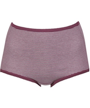 Wing ショーツ　【デイリーフィット】　ボーダー柄　はきこみ丈ふかめ　ウイング／ワコール　EC3620 バイオレット