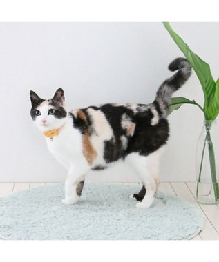 PET PARADISE ペットパラダイス 猫 首輪 チロリアン 《イエロー》 イエロー