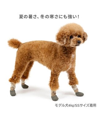PET PARADISE ペットパラダイス くまちゃん フィット靴 ＳＳ ベージュ×カーキ