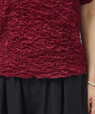 Green Parks 表面感カット５分袖プルオーバー Bordeaux